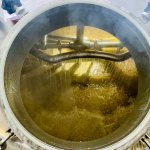 Belleville x Mondo Collab – Introducing Hey Neighbour. A photograph showing the inside of the mash tun including malt wheat and oats